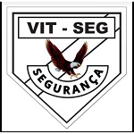 VIT-SEG